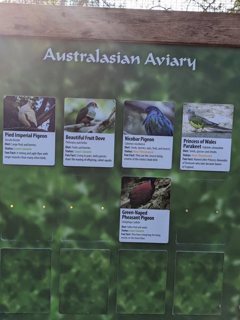 Australasian Aviary Placard January 2022