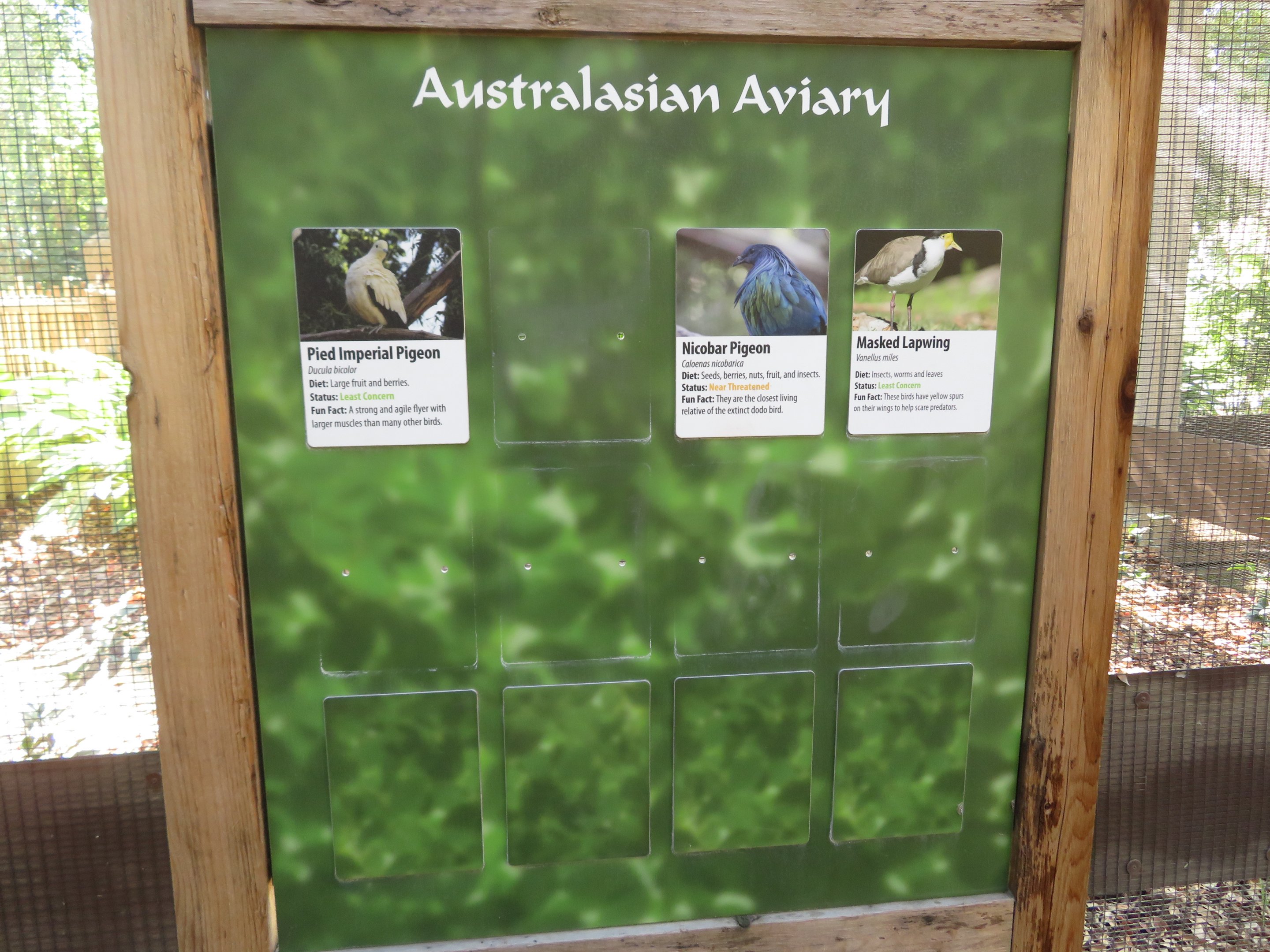 Australasian Aviary Signage