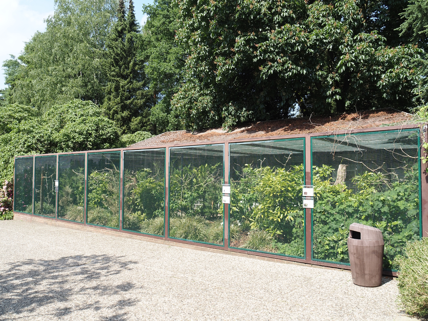 Australasian parrot aviary, 2024-05-24