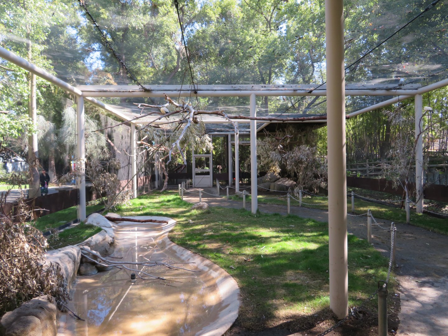Australasian Walk-through Aviary