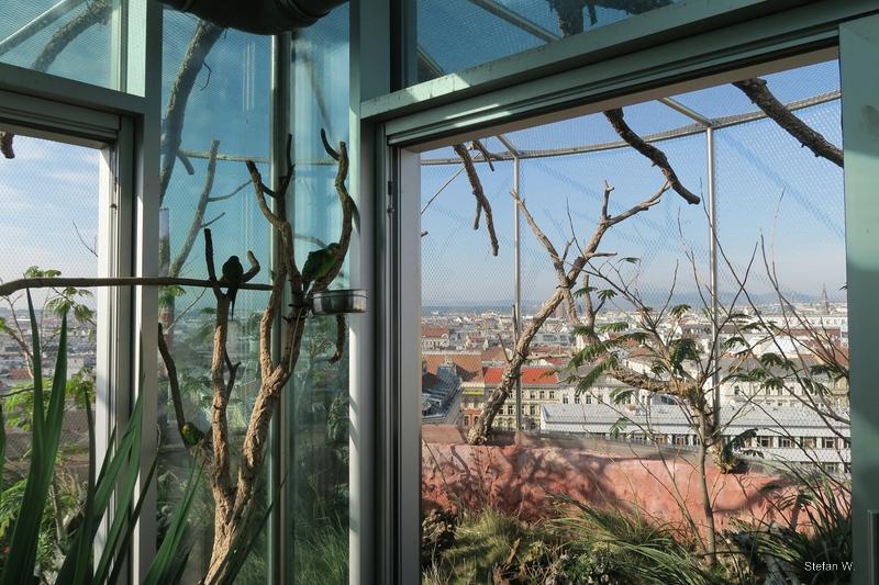 Australia - 9th floor