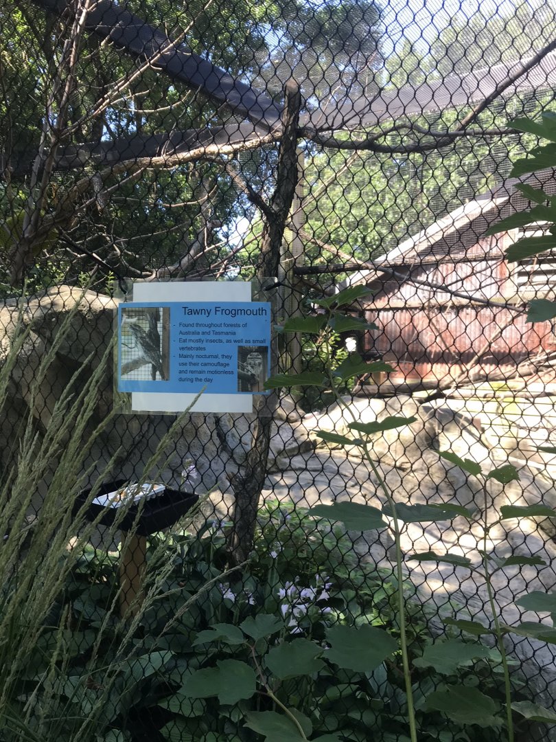 Australia adventure Australian aviary