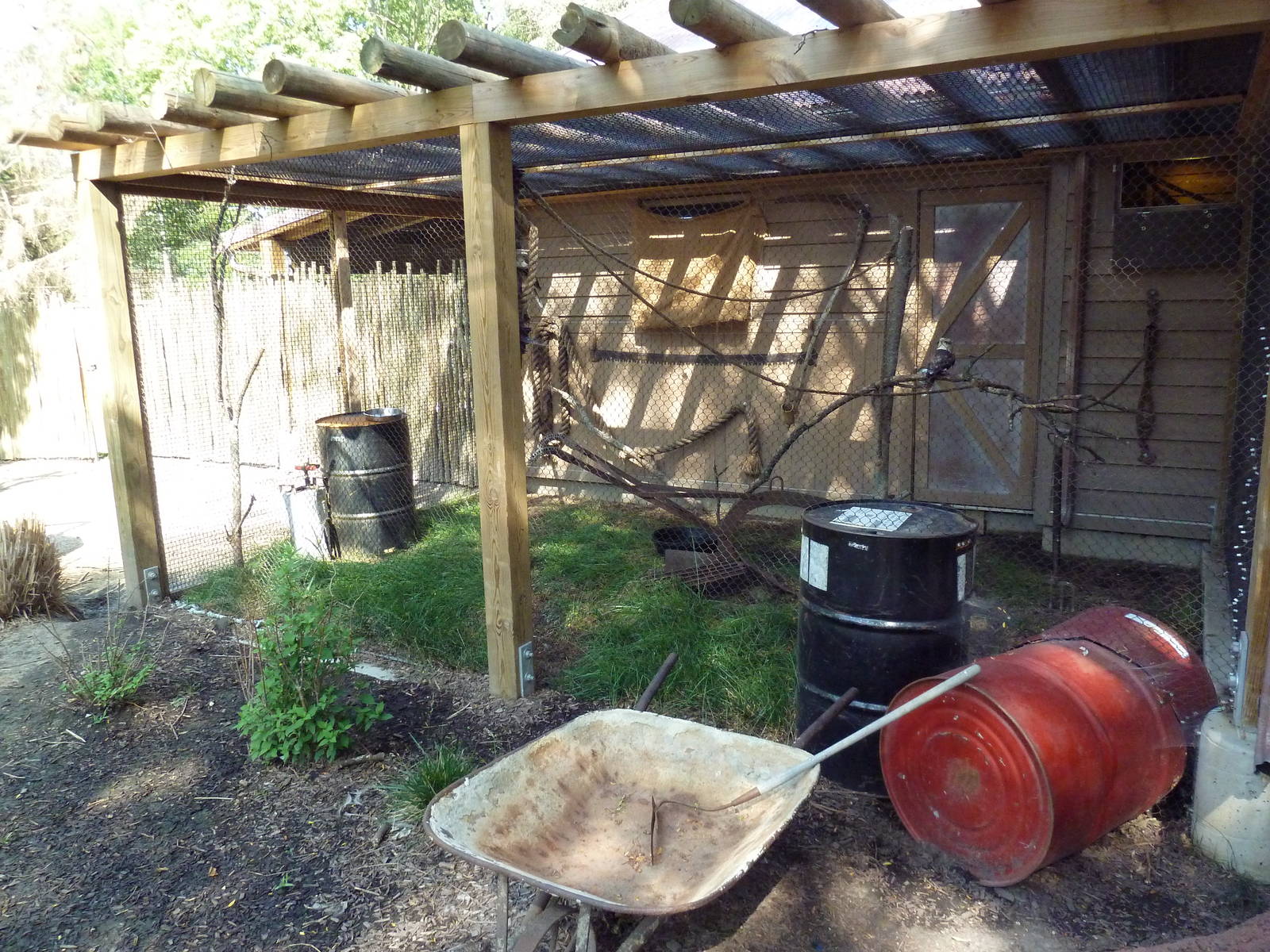 Australia Adventure - Kookaburra Outdoor Exhibit