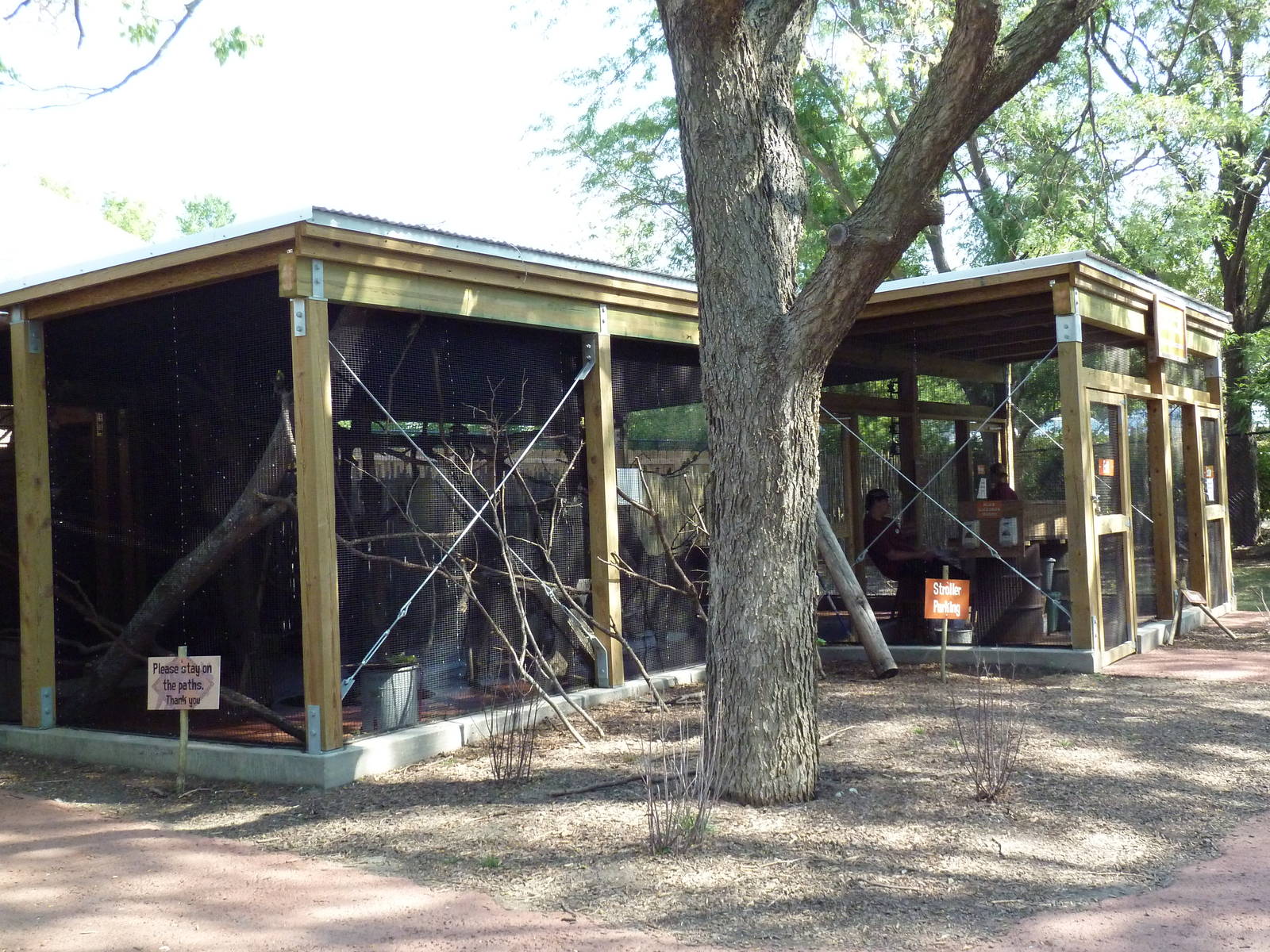 Australia Adventure - Lorikeet Feeding Aviary