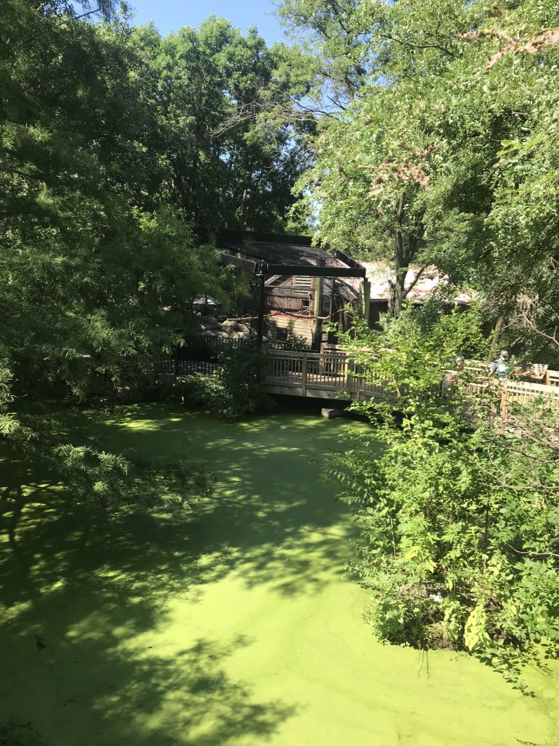 Australia adventure pond