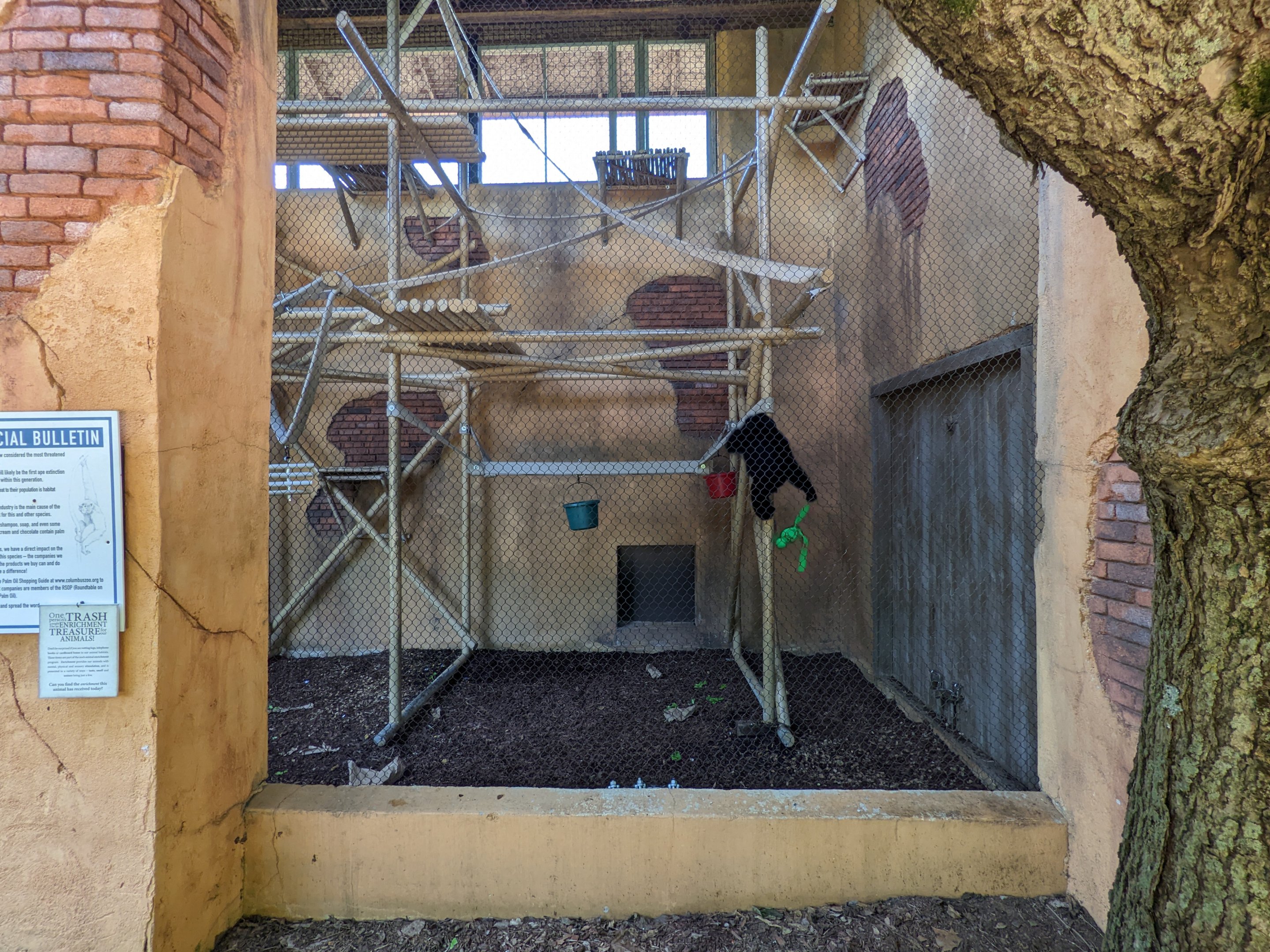 Australia and the Islands  - Gibbons indoor area