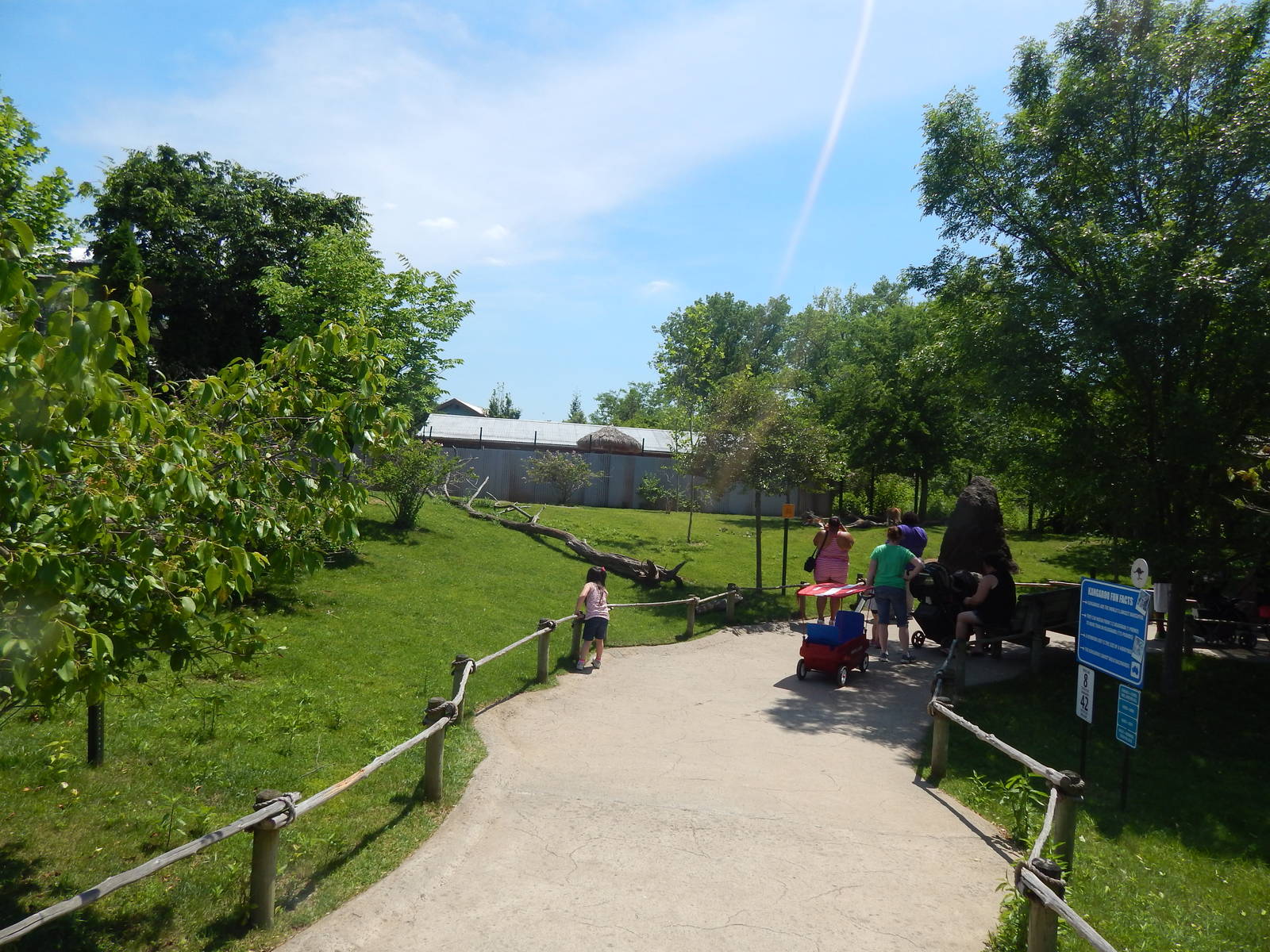 Australia and the Islands - Kangaroo Walk-About Exhibit