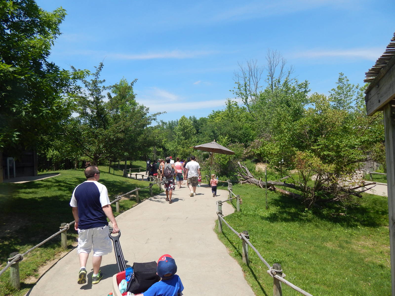 Australia and the Islands - Kangaroo Walk-About Exhibit