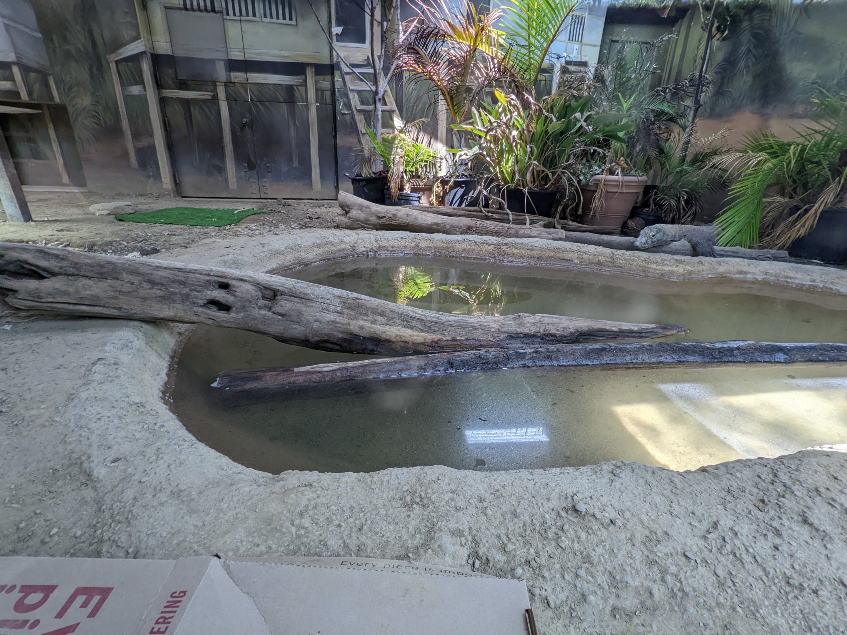 Australia and the Islands - Komodo dragon indoor area