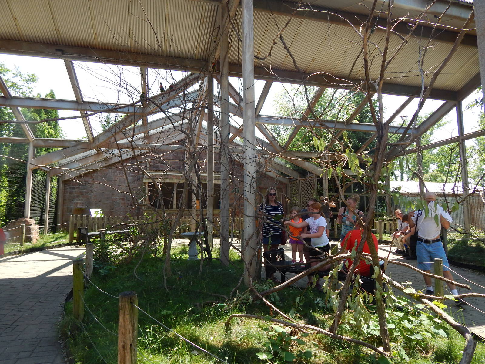 Australia and the Islands - Lorikeet Garden (5 Species)