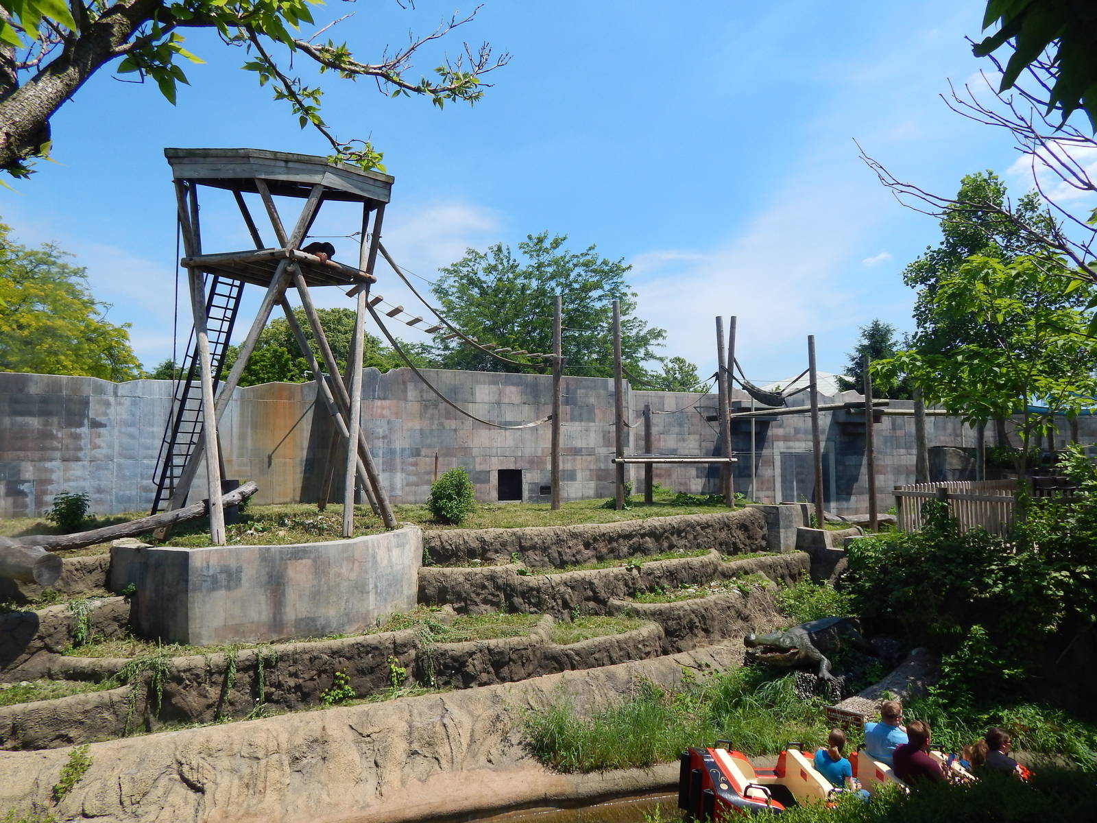 Australia and the Islands - Orangutan Exhibit