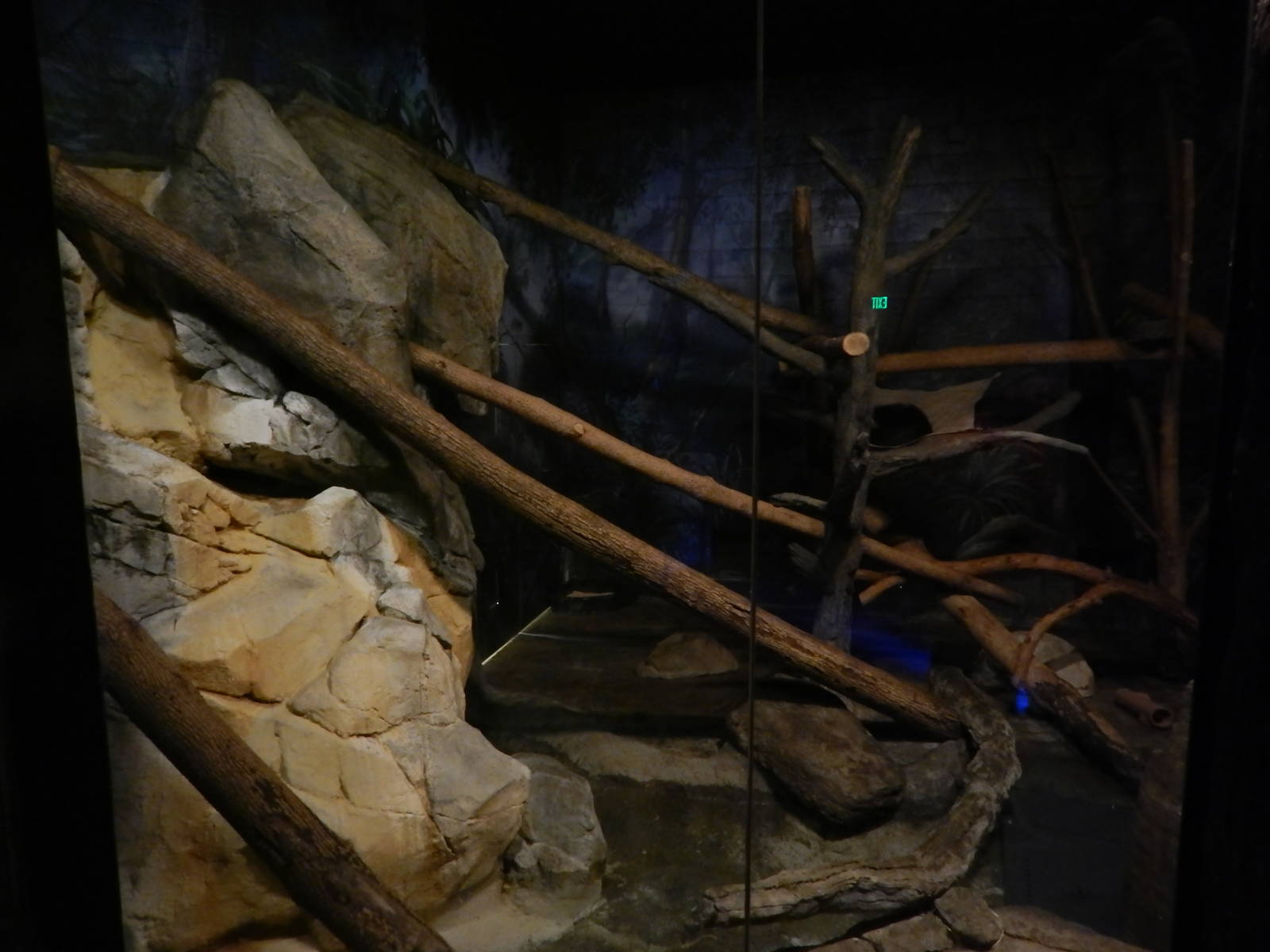 Australia and the Islands - Roadhouse - Bearcat Exhibit