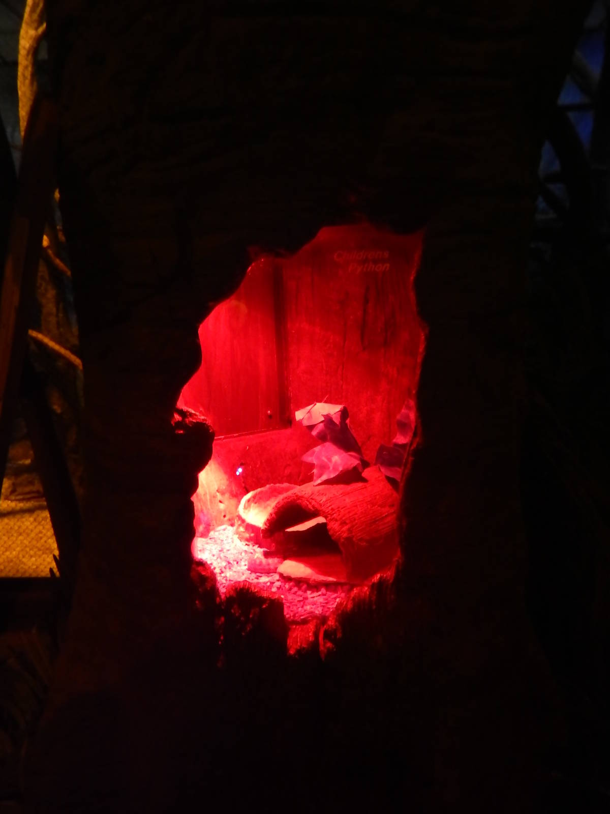 Australia and the Islands - Roadhouse - Children's Python Exhibit