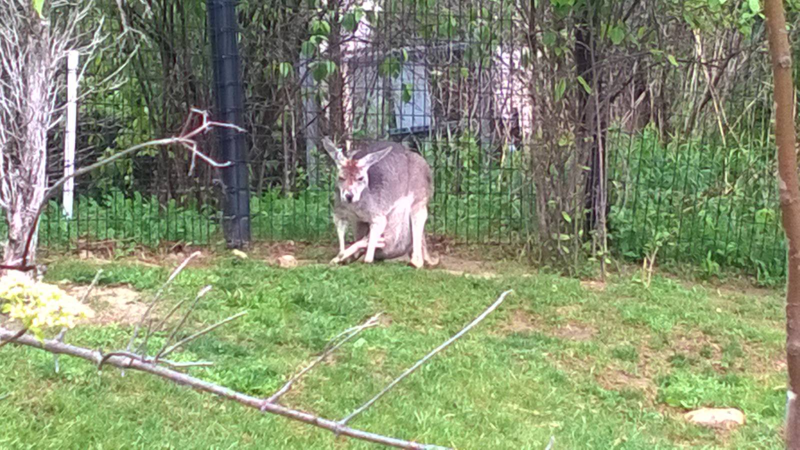 Australia and the Islands