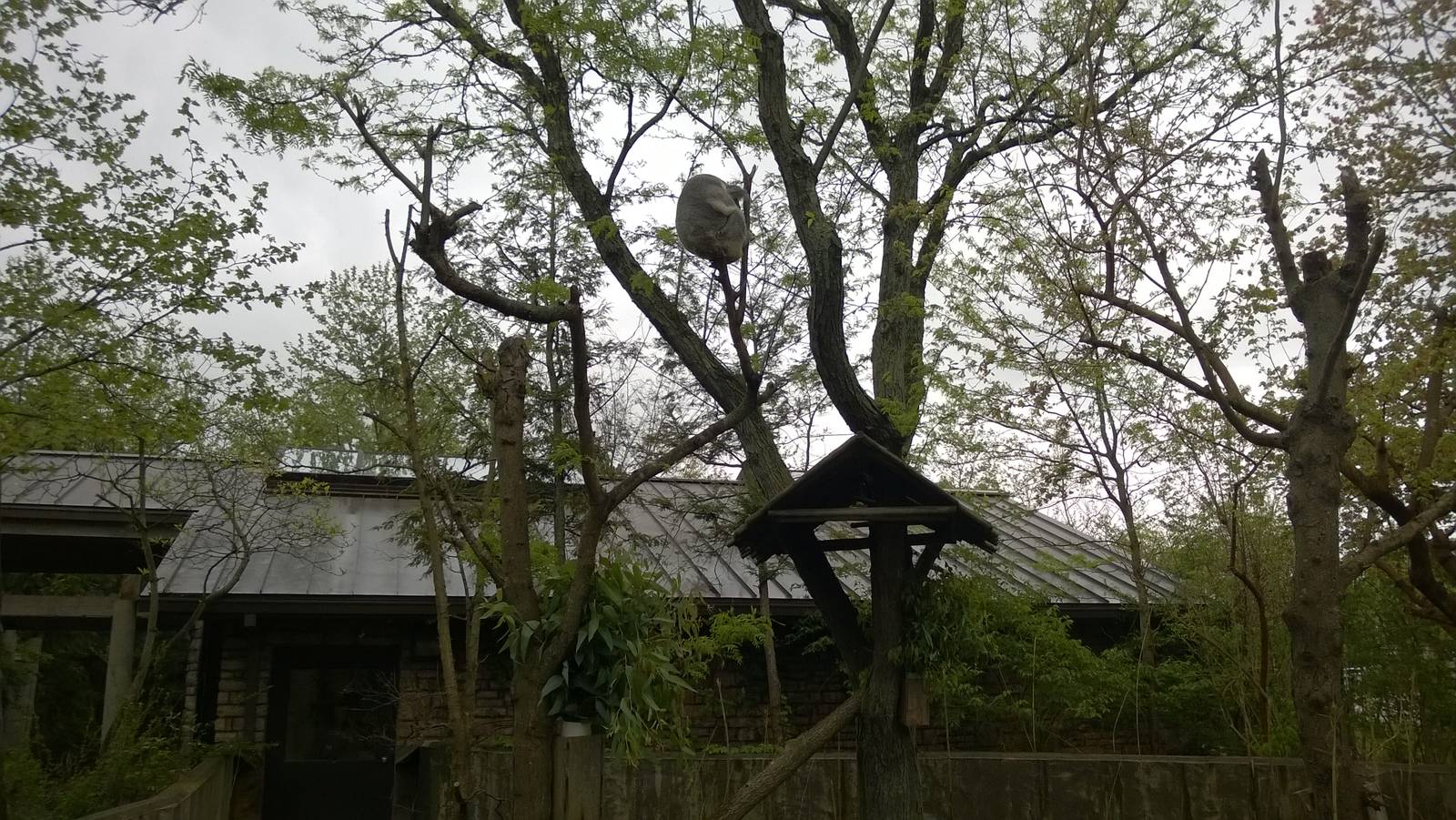 Australia and the Islands