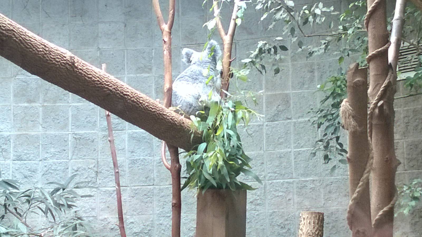 Australia and the Islands