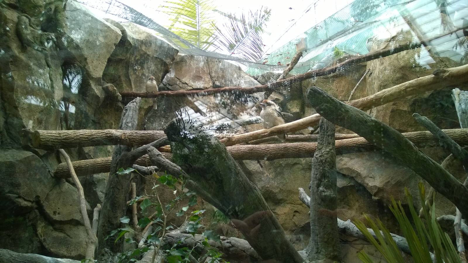 Australia and the Islands