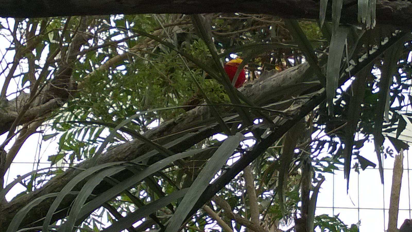 Australia and the Islands