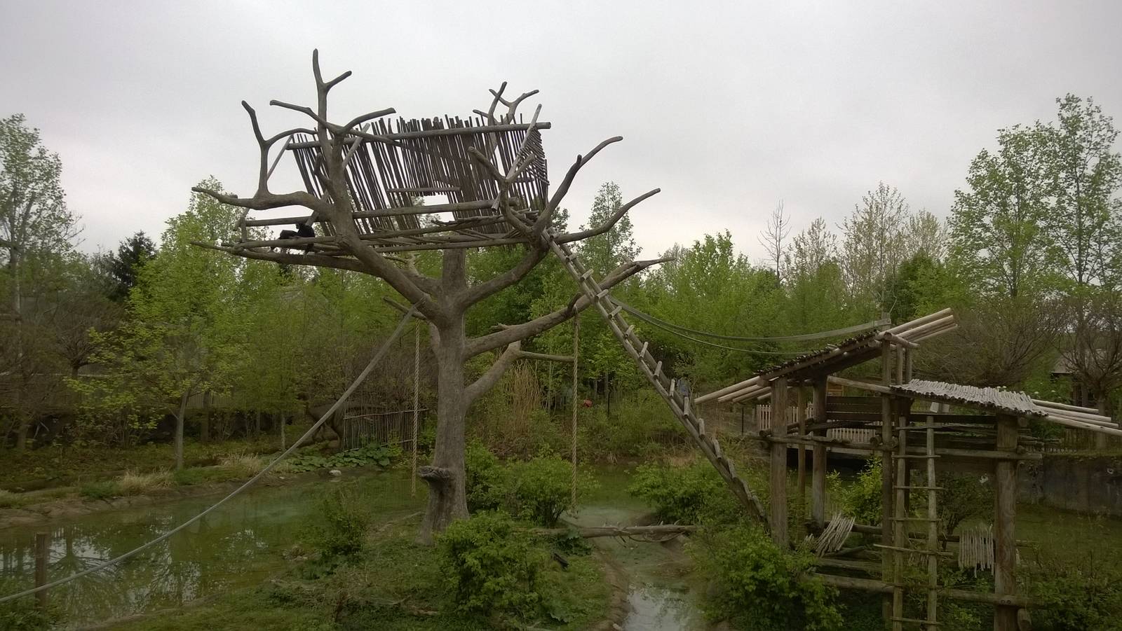 Australia and the Islands