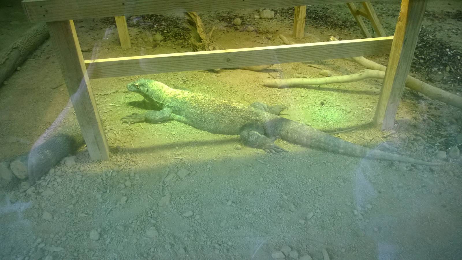 Australia and the Islands