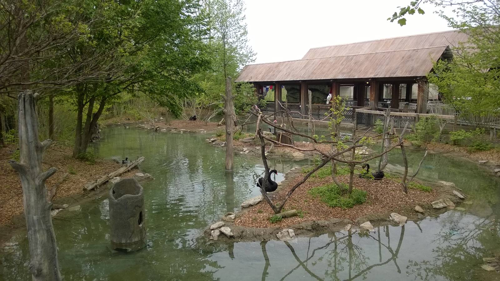 Australia and the Islands