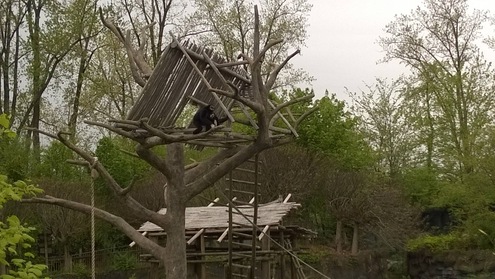 Australia and the Islands