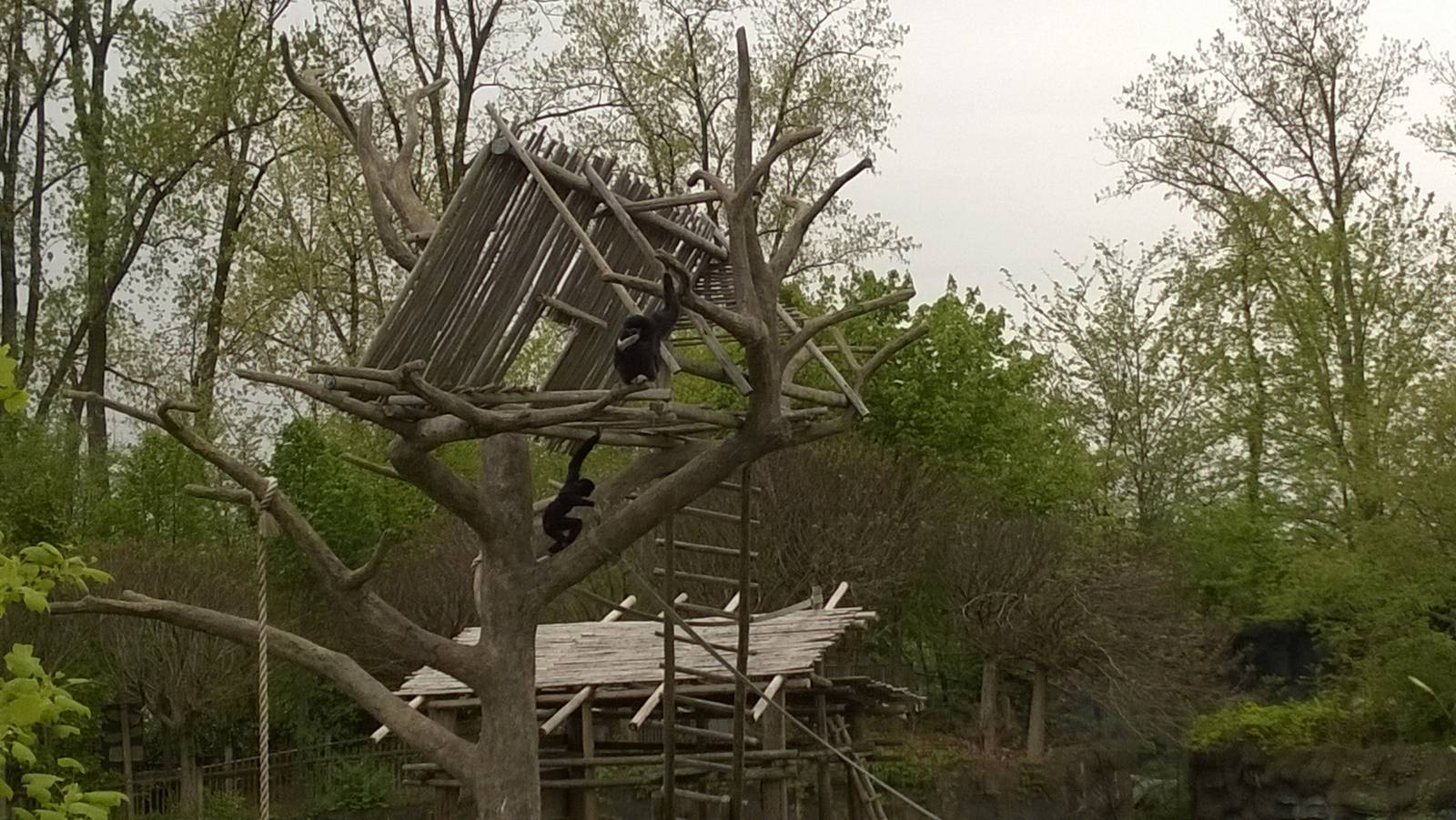 Australia and the Islands