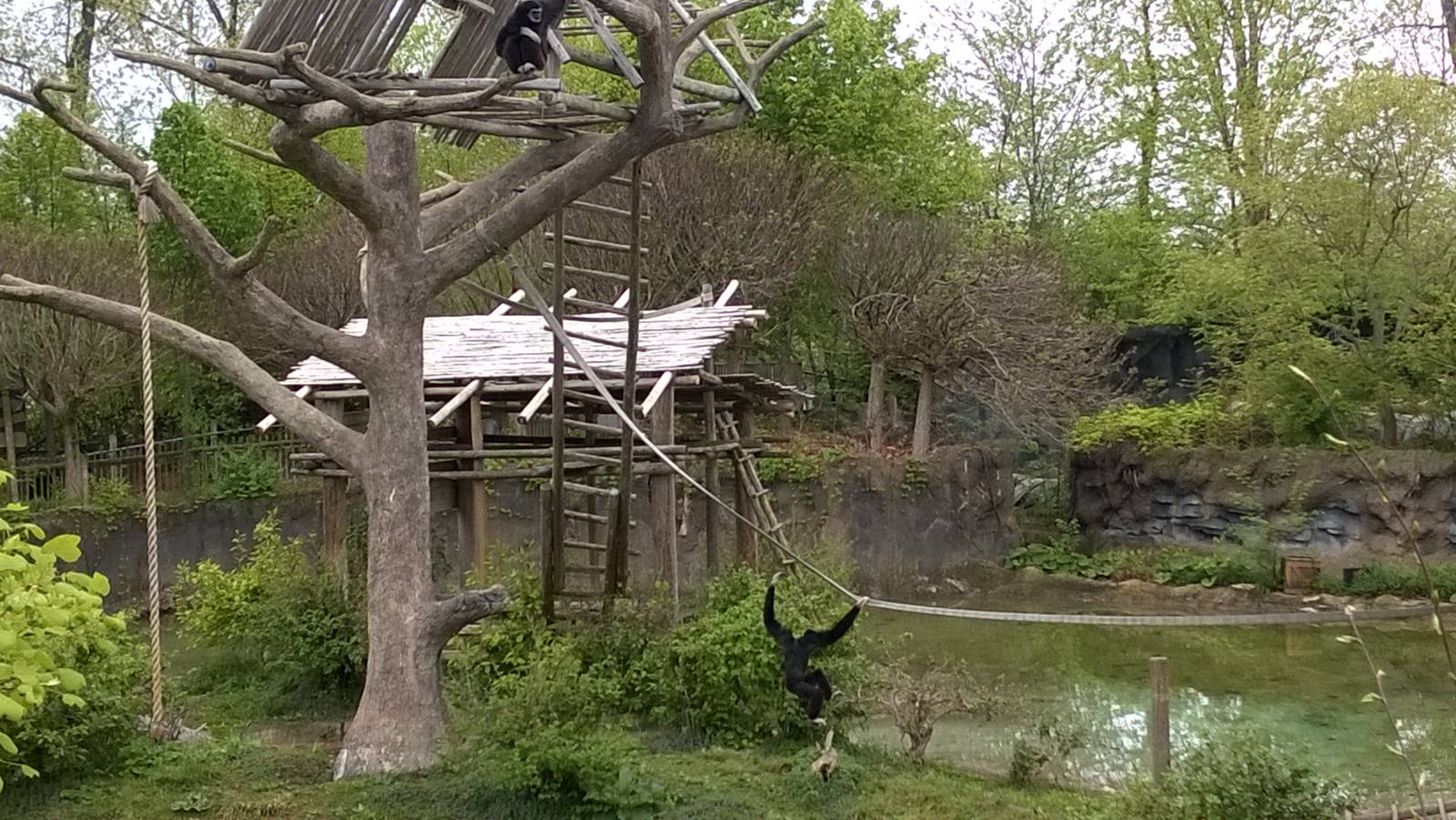 Australia and the Islands