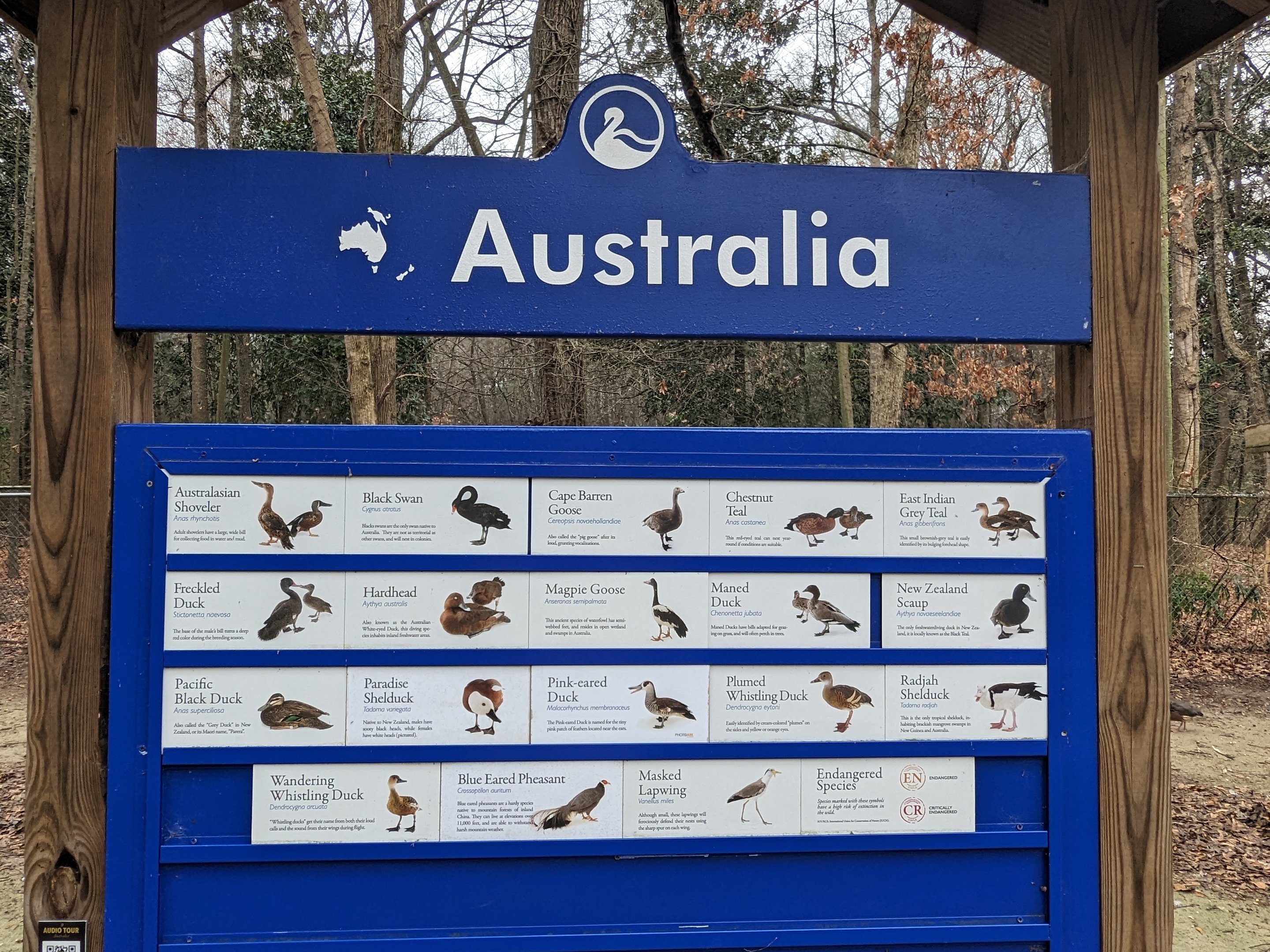 Australia Aviary sign