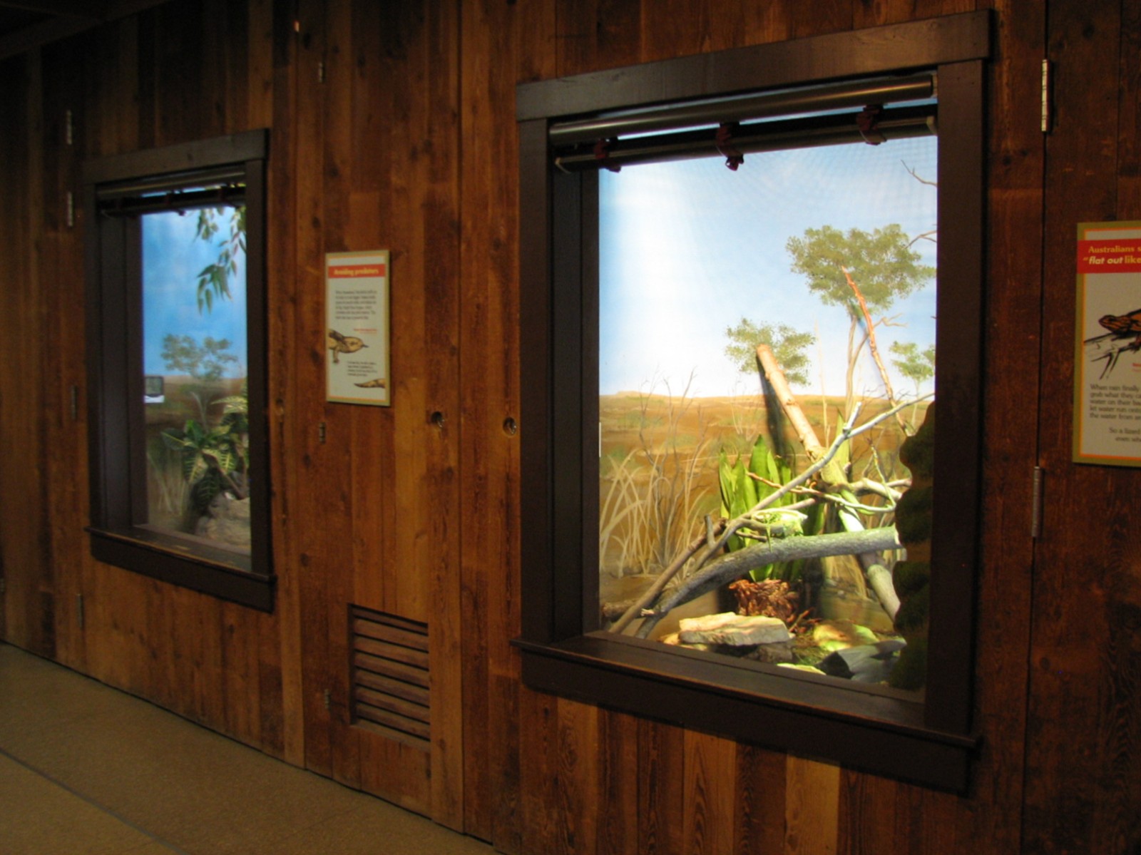 Australia - Bearded Dragon and Shingleback Skink Exhibits