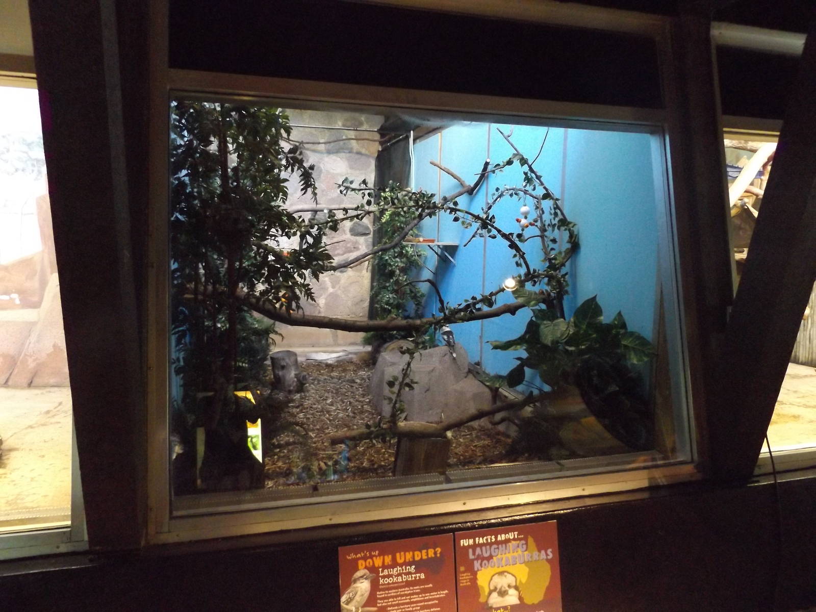 Australia Building- Kookaburra Exhibit