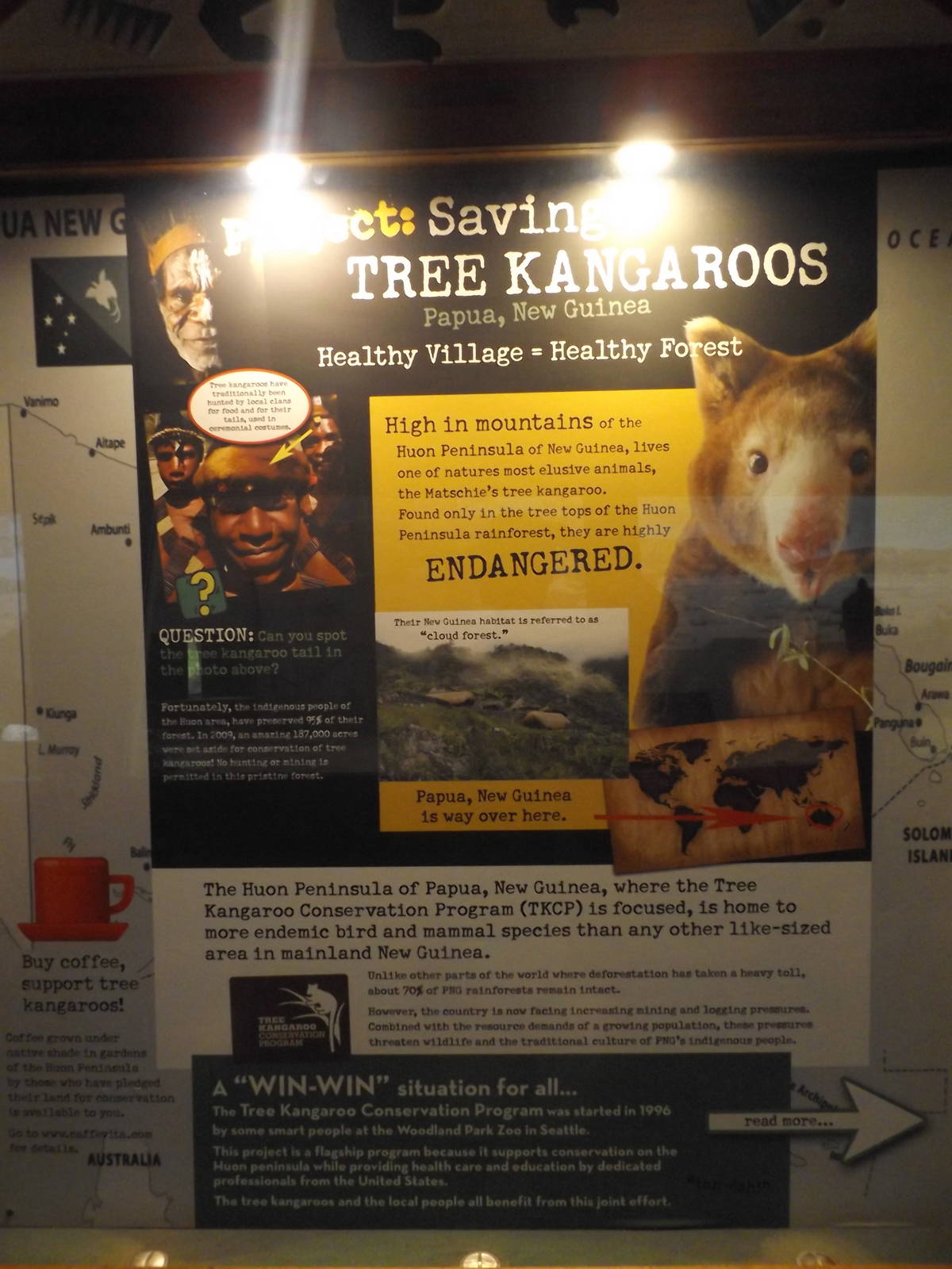 Australia Building- Tree Kangaroo Conservation Signs