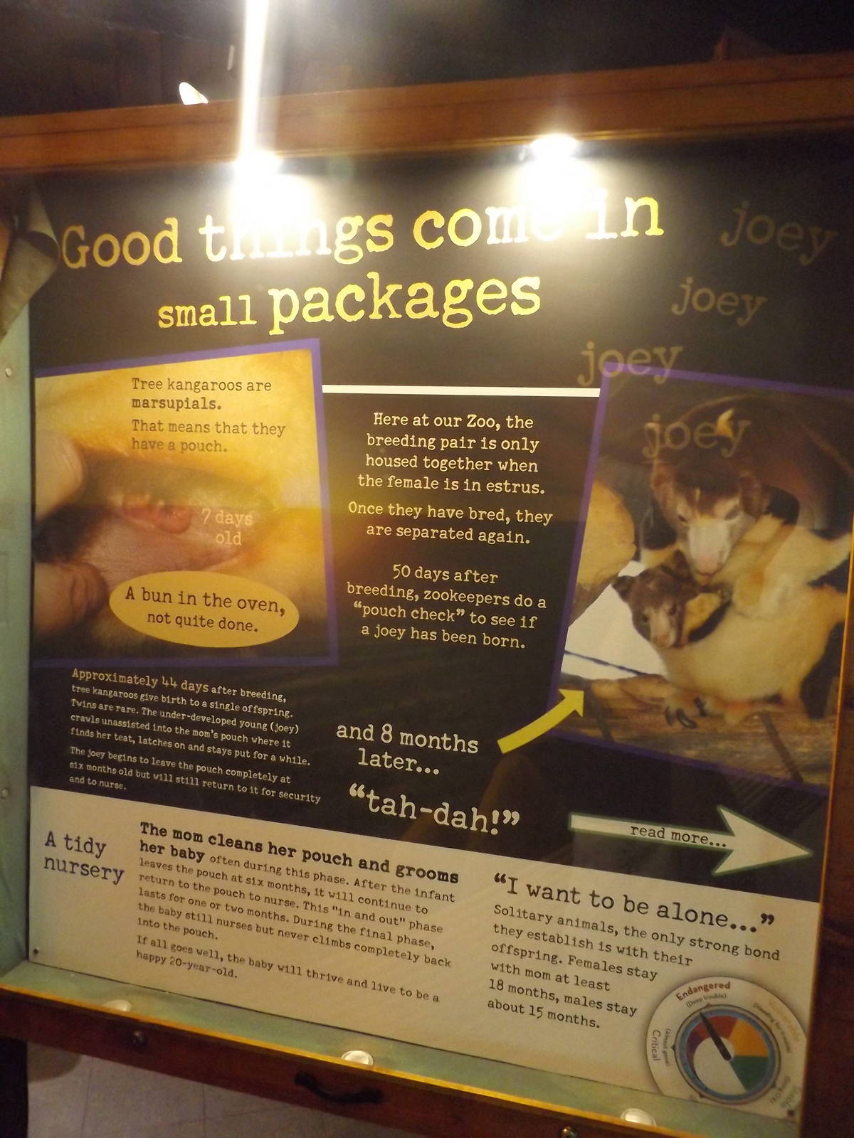 Australia Building- Tree Kangaroo Conservation Signs