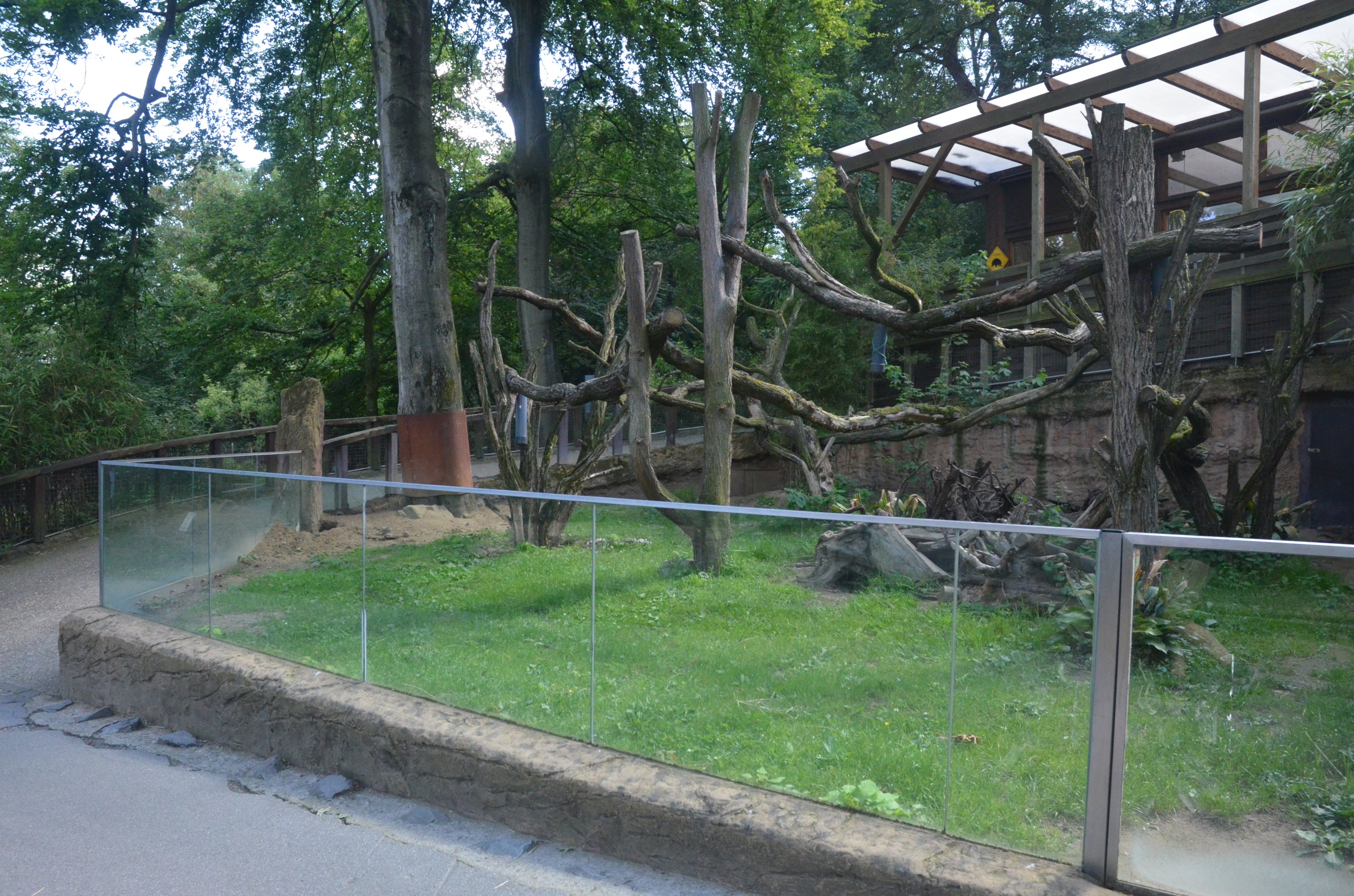 Australia Complex at Duisburg, 17/06/19