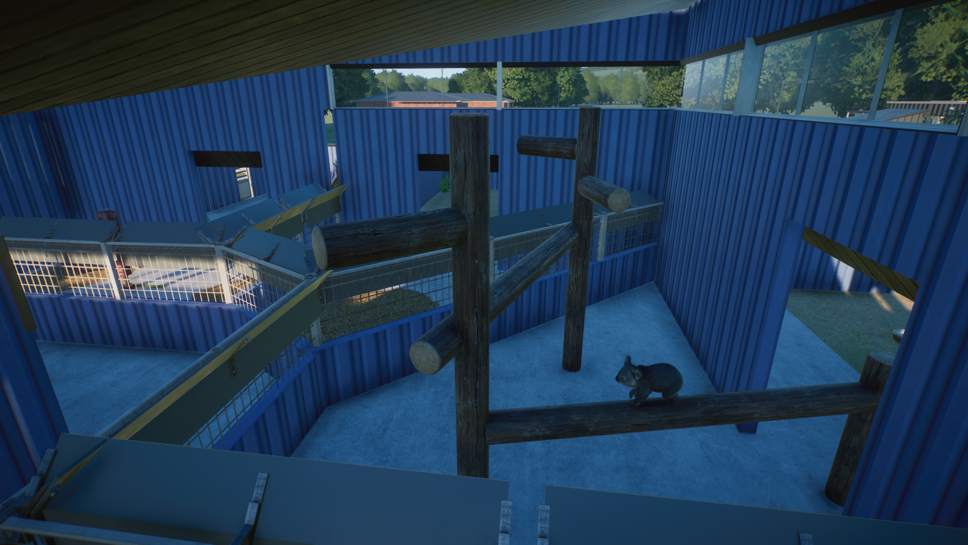 Australia Complex - Koala Indoors