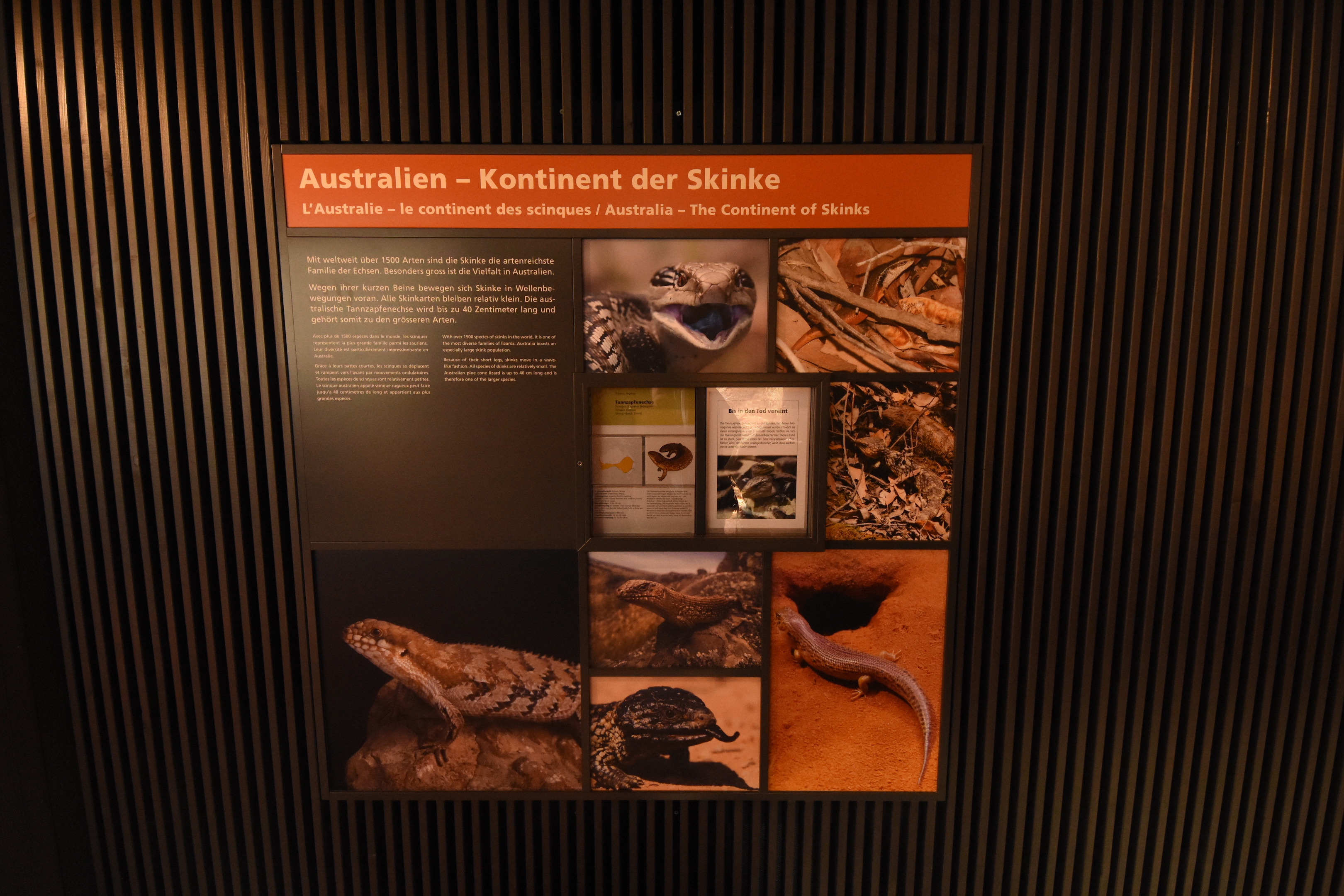 Australia - Education example