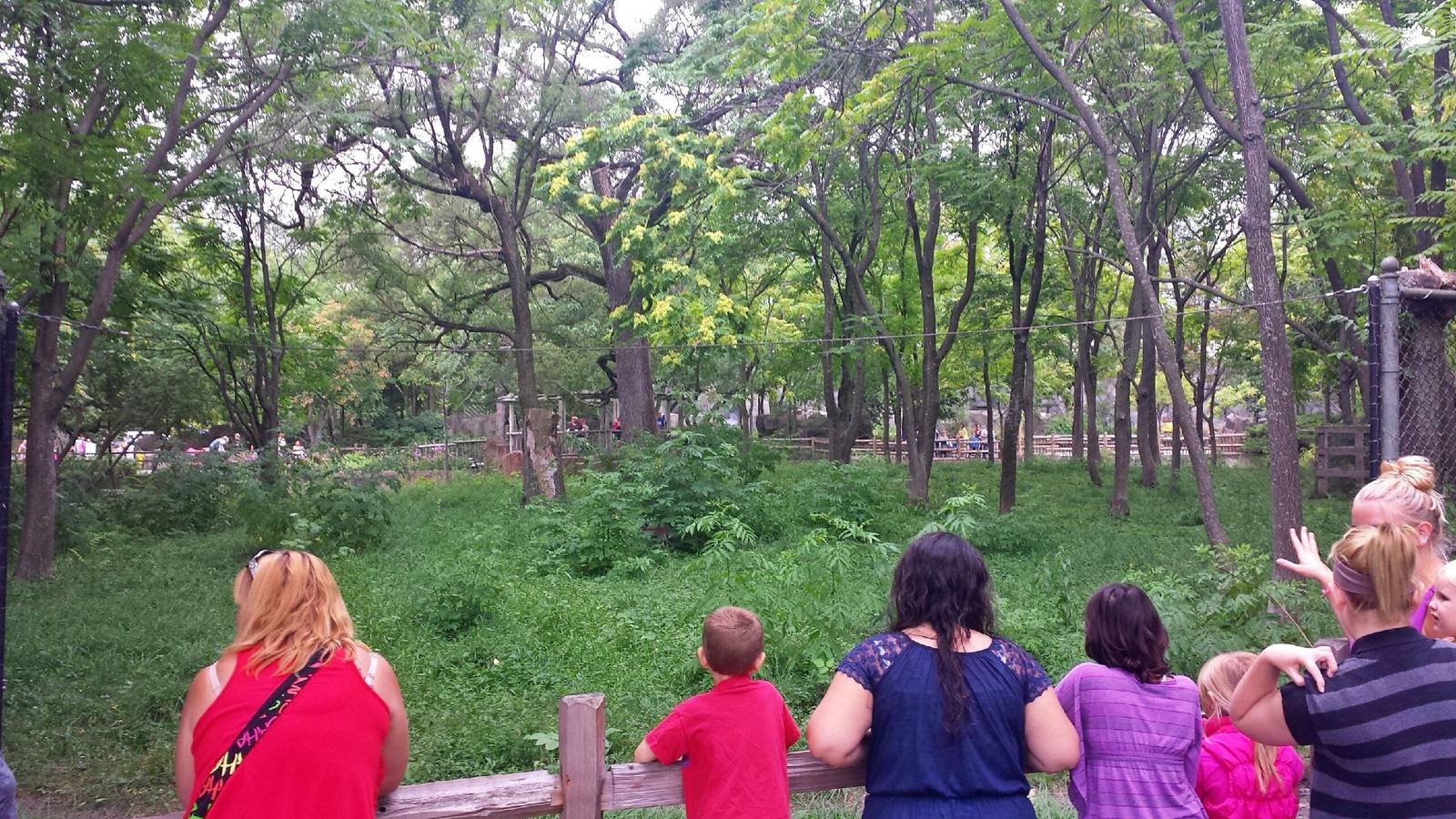 Australia - Emu Exhibit