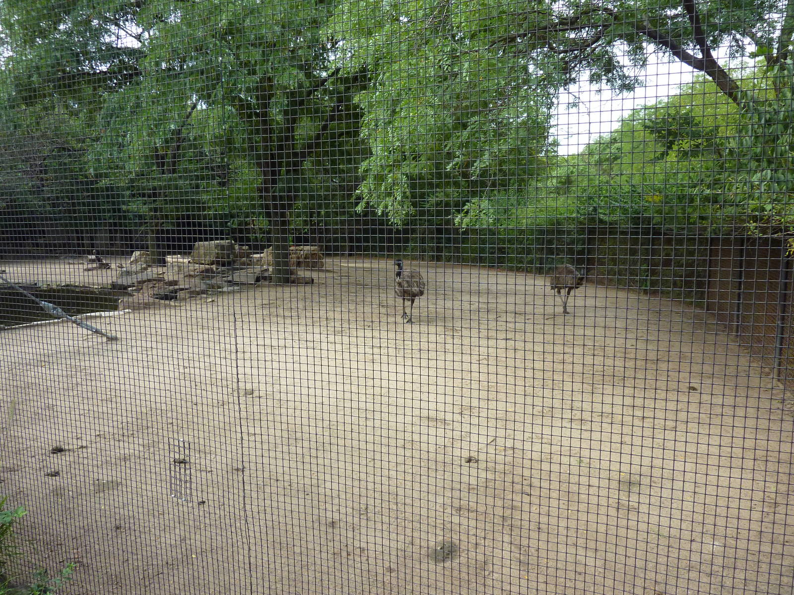 Australia - Emu & Wallaroo Enclosure