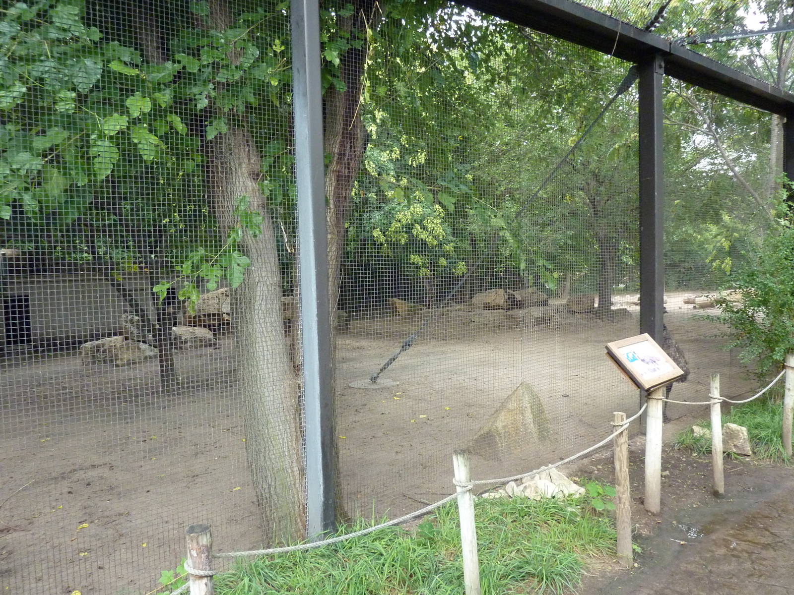Australia - Emu + Wallaroo Enclosure