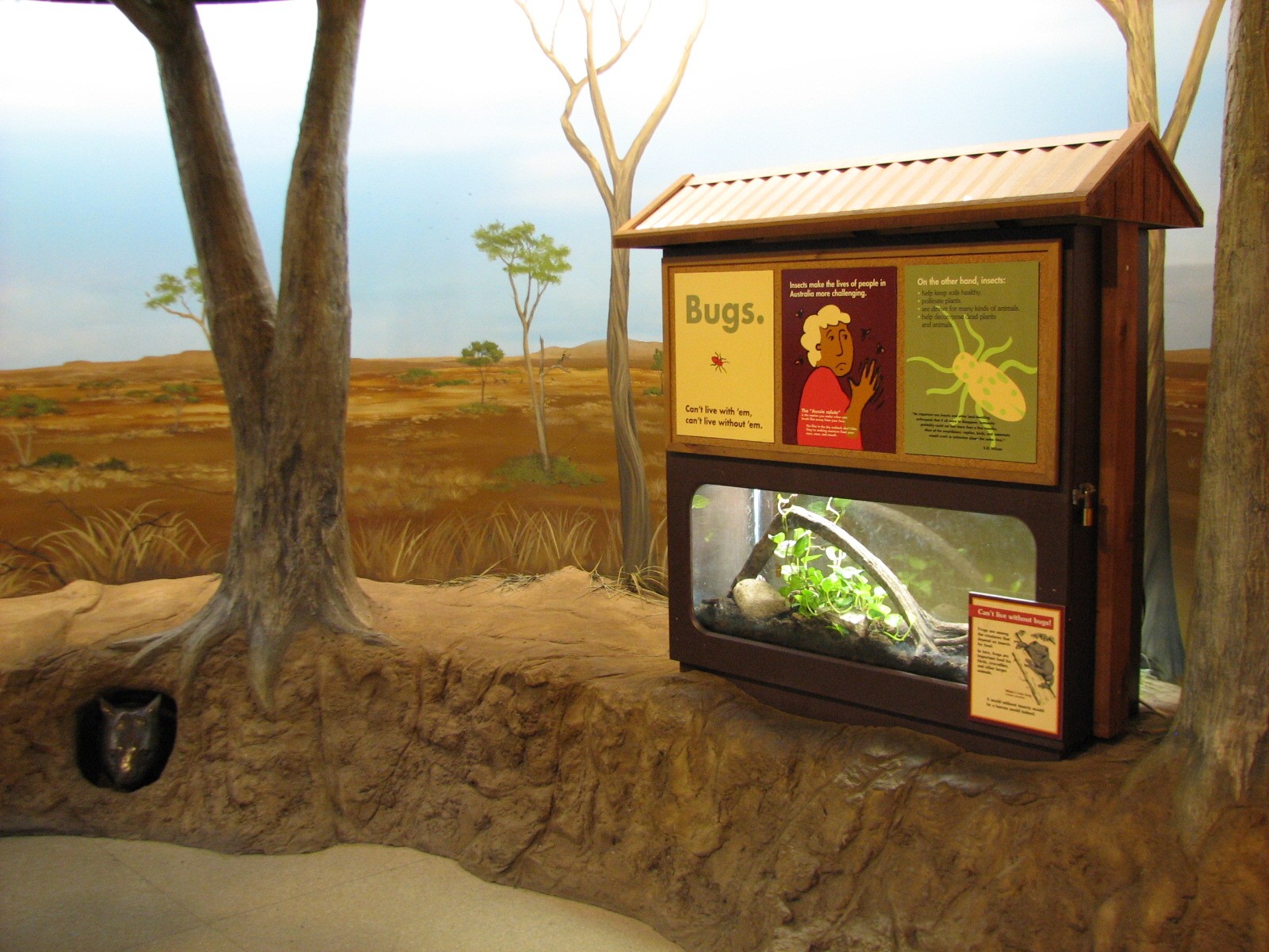Australia - Entry and Whites Tree Frog Exhibit
