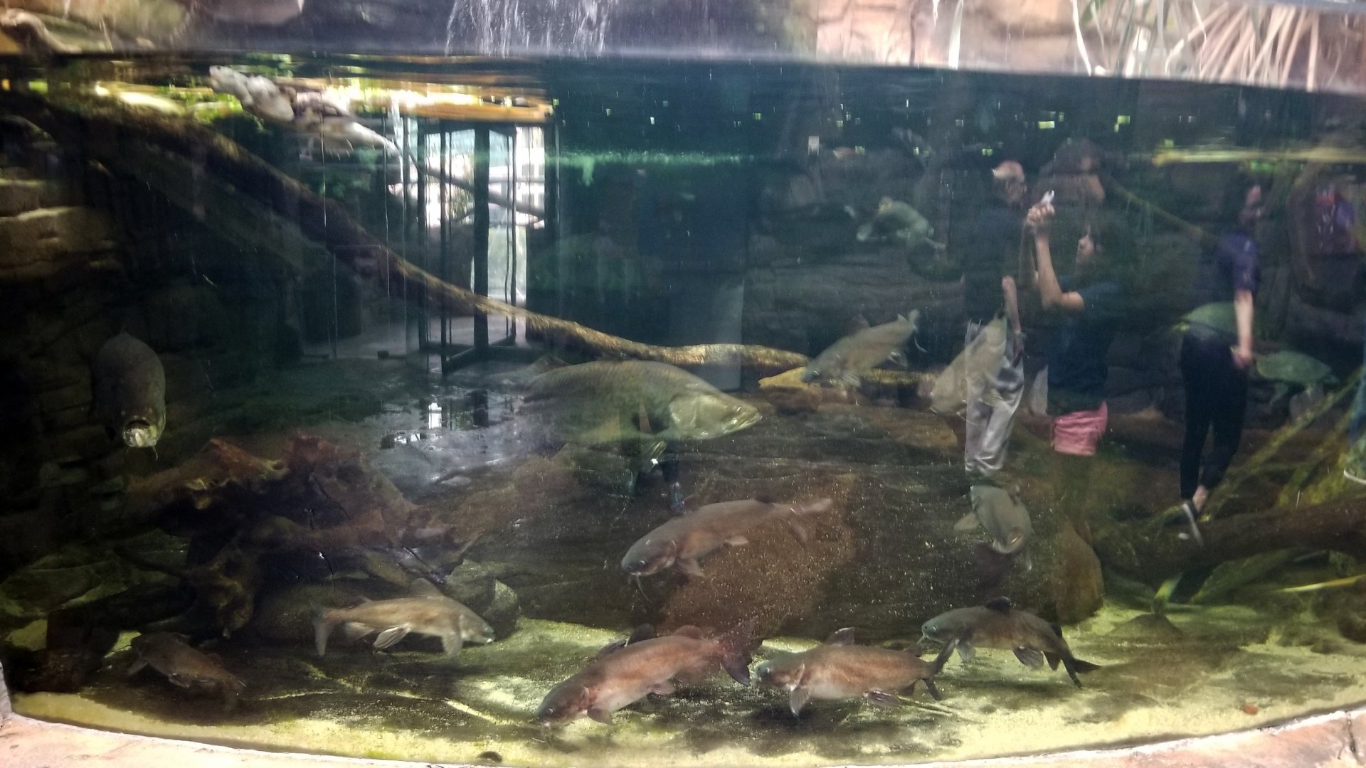 Australia exhibit #4