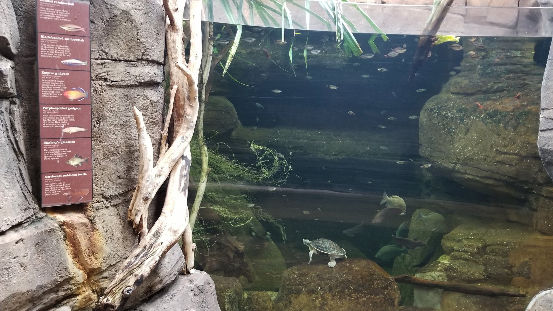 Australia exhibit #5