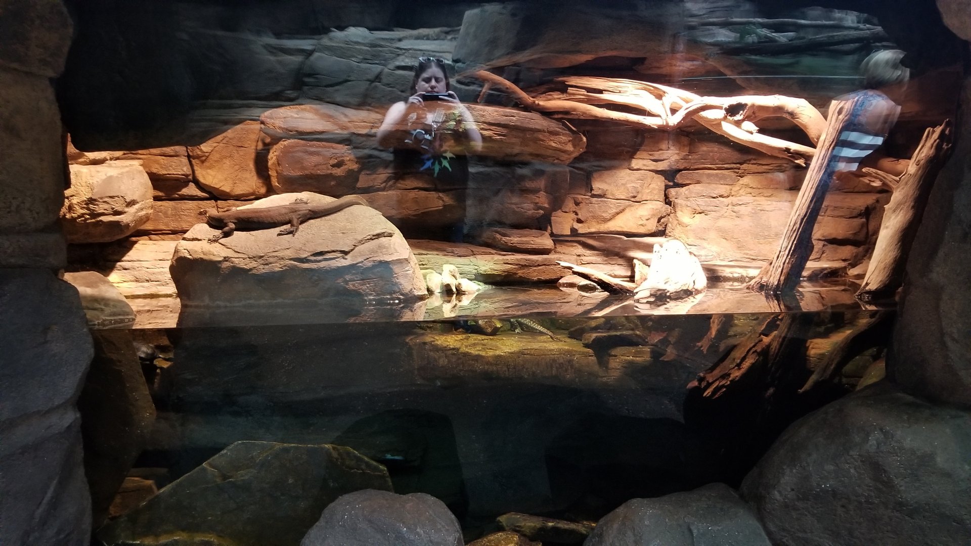 Australia exhibit #9