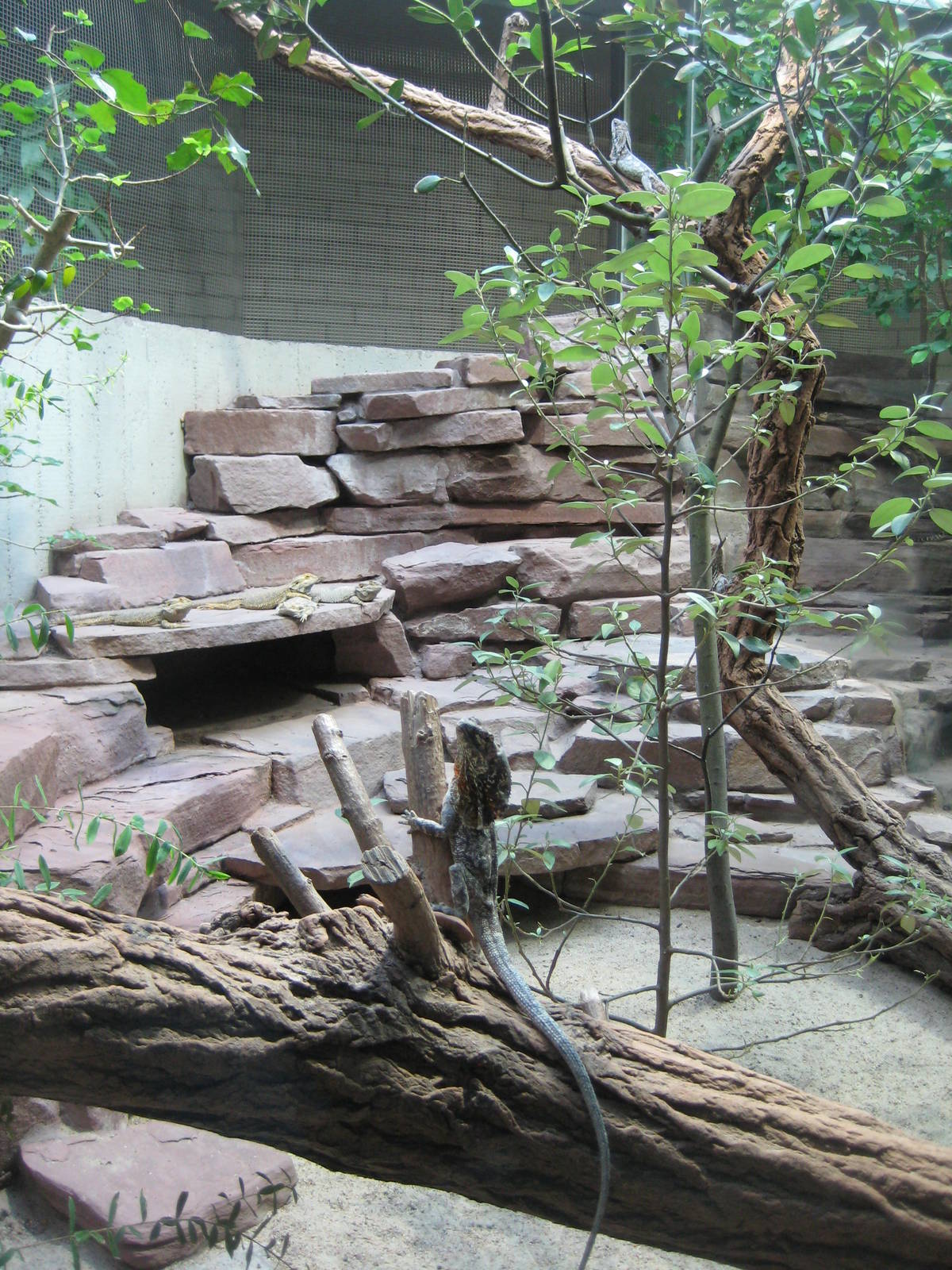 Australia Exhibit