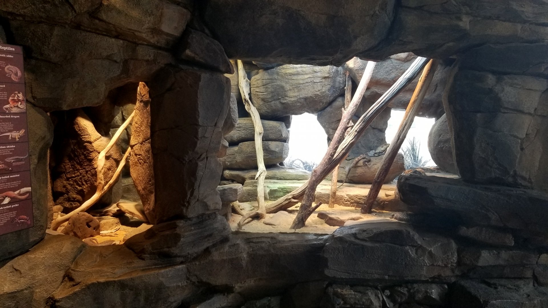 Australia: First reptile tanks