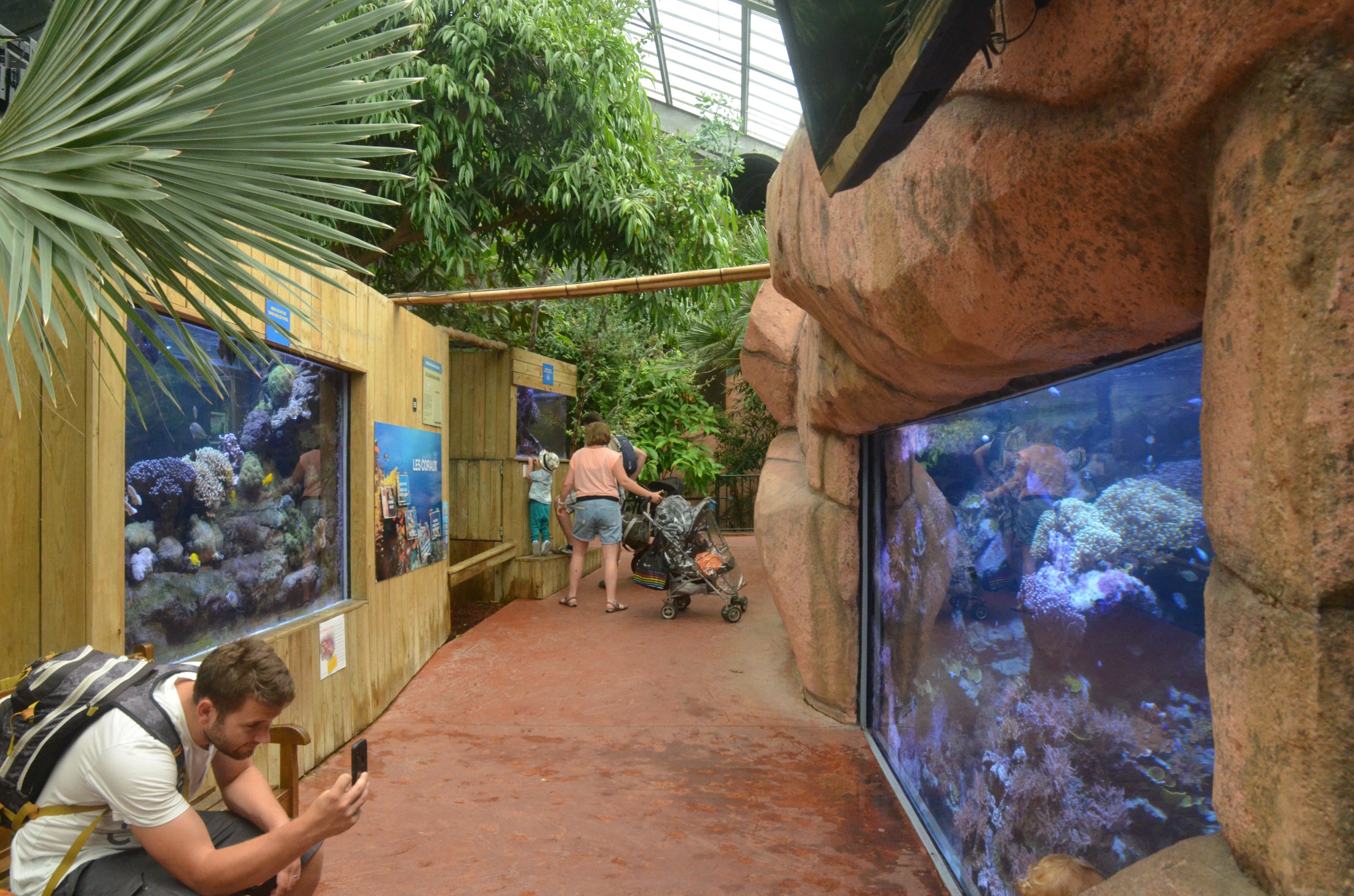 Australia House Aquaria at Beauval, 12/06/18