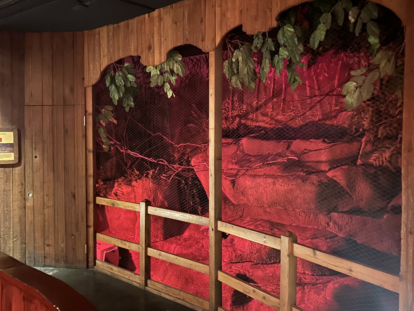 Australia House-brush-tailed bettong exhibit