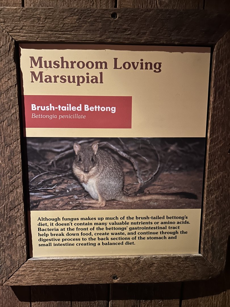 Australia House-brush-tailed bettong sign