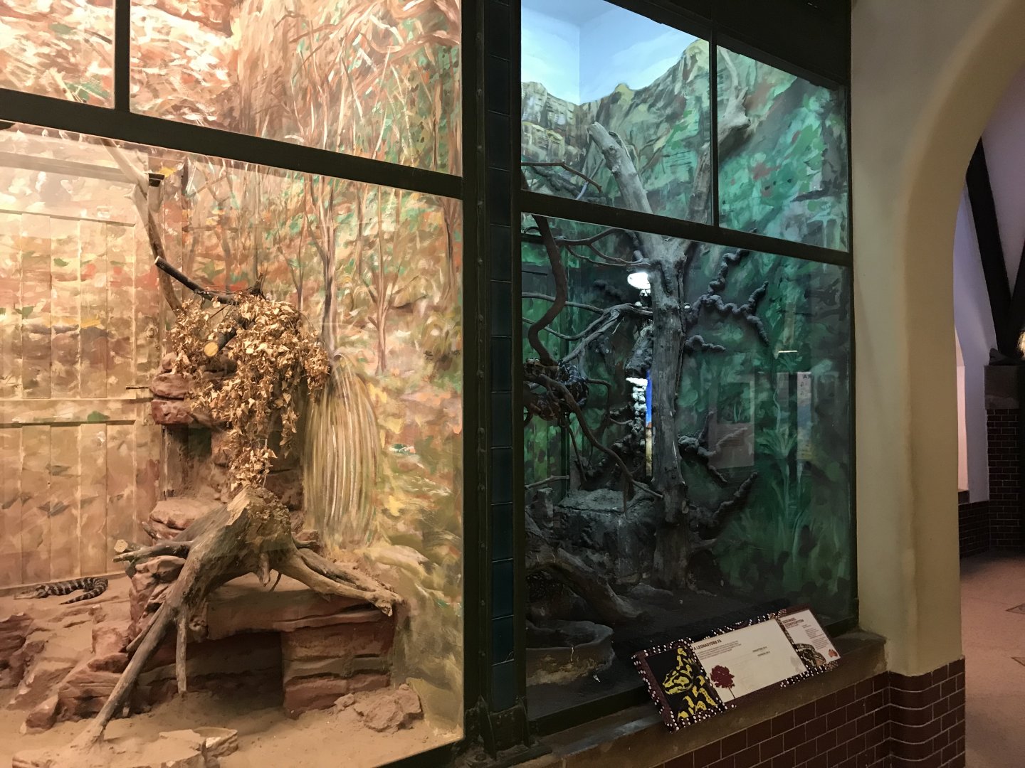 Australia House exhibit 171018