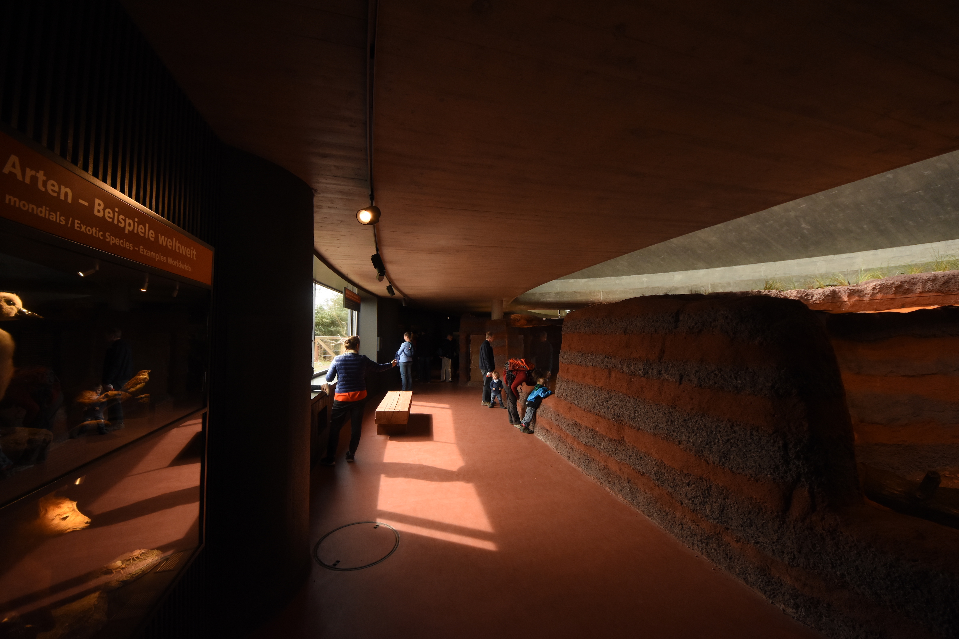 Australia - House indoors